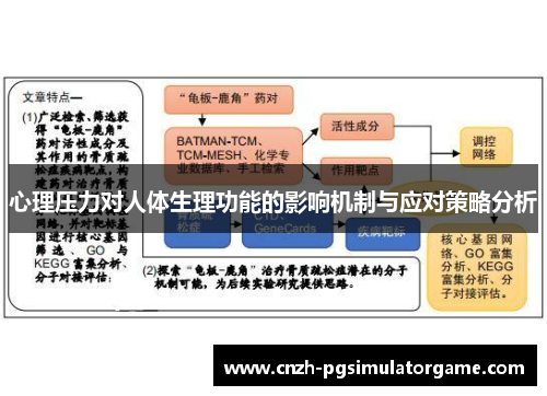 心理压力对人体生理功能的影响机制与应对策略分析