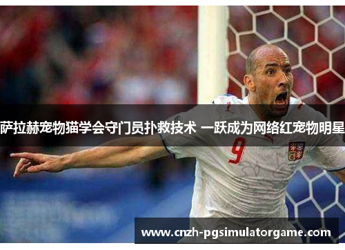 萨拉赫宠物猫学会守门员扑救技术 一跃成为网络红宠物明星