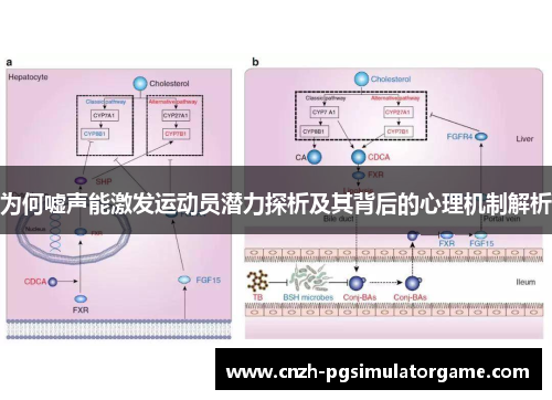 为何嘘声能激发运动员潜力探析及其背后的心理机制解析