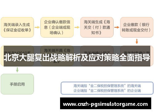 北京大腿复出战略解析及应对策略全面指导