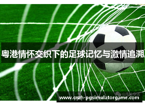 粤港情怀交织下的足球记忆与激情追溯