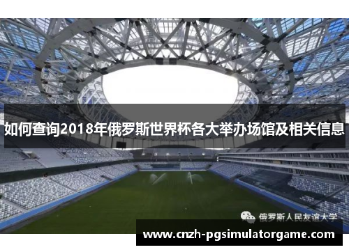 如何查询2018年俄罗斯世界杯各大举办场馆及相关信息