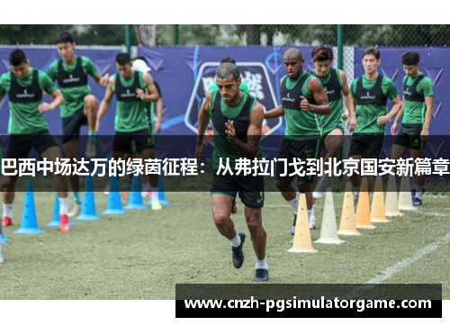巴西中场达万的绿茵征程：从弗拉门戈到北京国安新篇章