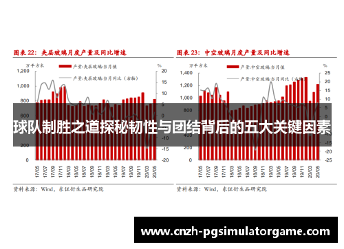 球队制胜之道探秘韧性与团结背后的五大关键因素