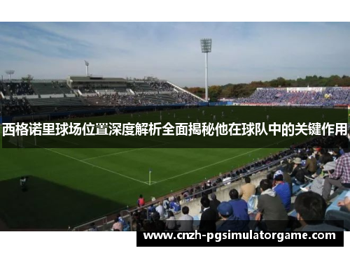 西格诺里球场位置深度解析全面揭秘他在球队中的关键作用