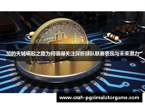 加的夫城崛起之路为何值得关注探析球队联赛表现与未来潜力