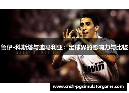 鲁伊-科斯塔与迪马利亚：足球界的影响力与比较