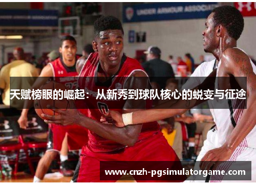 天赋榜眼的崛起：从新秀到球队核心的蜕变与征途