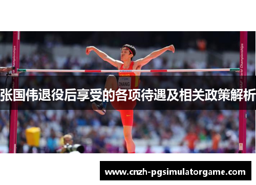 张国伟退役后享受的各项待遇及相关政策解析