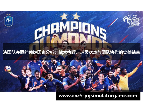 法国队夺冠的关键因素分析：战术执行、球员状态与团队协作的完美结合