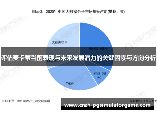 评估麦卡蒂当前表现与未来发展潜力的关键因素与方向分析
