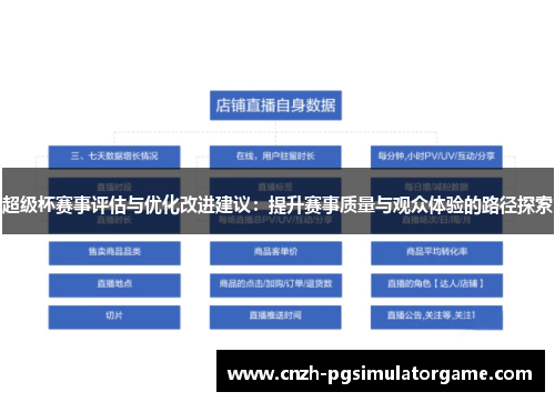 超级杯赛事评估与优化改进建议：提升赛事质量与观众体验的路径探索
