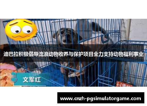 迪巴拉积极倡导流浪动物收养与保护项目全力支持动物福利事业