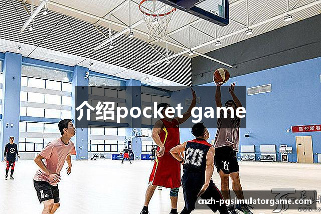 介绍pocket game